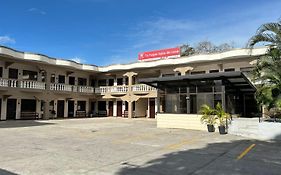 Hotel Wilson Anexo
